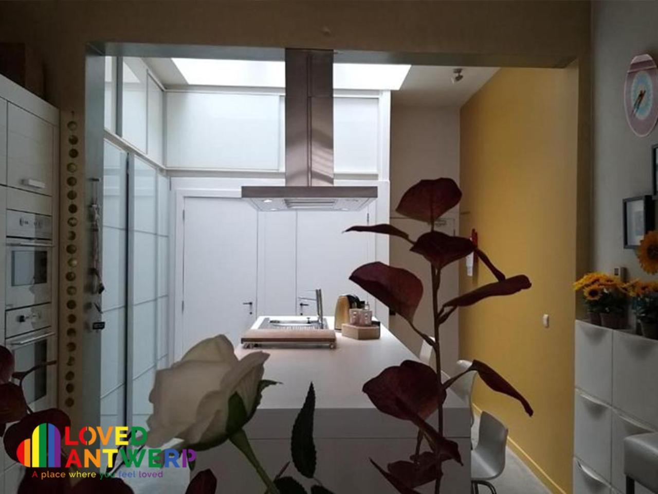 Ferienwohnung Wellness Loft With Sauna, Jacuzzi, Roof Terrace & Amazing View Antwerpen Exterior foto